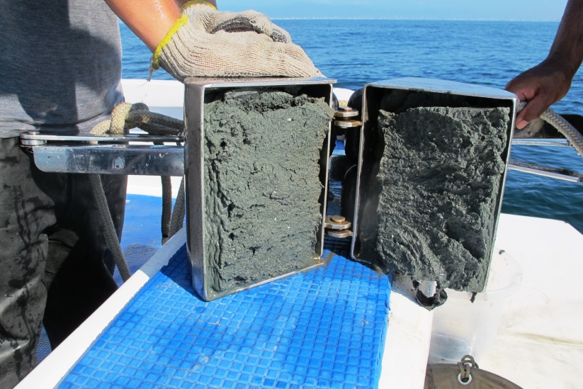 Sedimento retirado do PDO com draga Van Veen