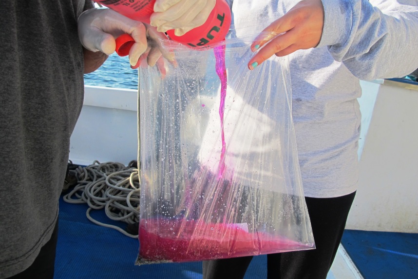 Acondicionamento da amostra após a coleta