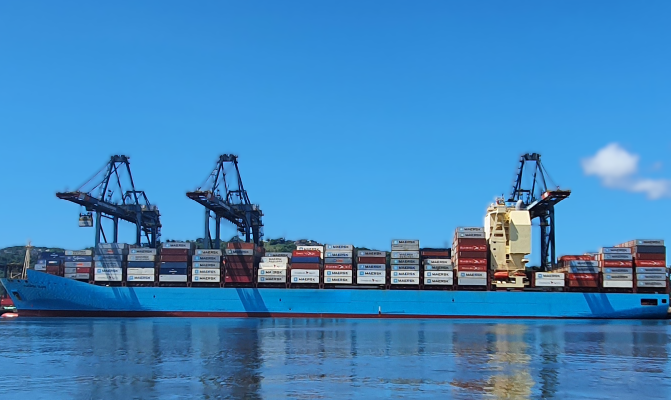 Mês do Meio Ambiente e ODS 14 no Porto de Santos